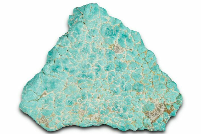 Teal Blue Chilean Turquoise Nugget ( grams) #325517